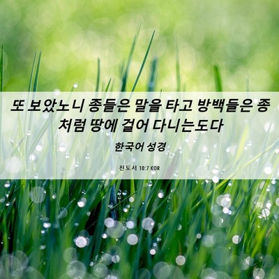 Picture 06 - 전도서 10:7 KOR - 또 보았노니 종들은 말을 타고 - Bible Verse Picture