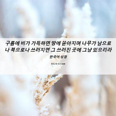 Picture 06 - 전도서 11:3 KOR - 구름에 비가 가득하면 땅에 쏟아지며 - Bible Verse Picture