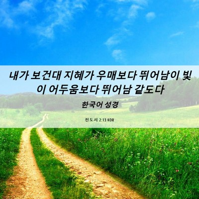 Picture 06 - 전도서 2:13 KOR - 내가 보건대 지혜가 우매보다 - Bible Verse Picture