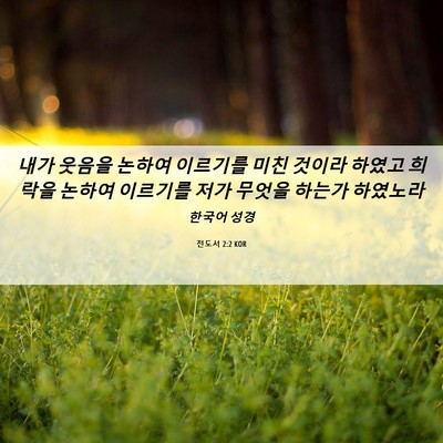 Picture 06 - 전도서 2:2 KOR - 내가 웃음을 논하여 이르기를 미친 - Bible Verse Picture