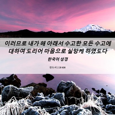 Picture 06 - 전도서 2:20 KOR - 이러므로 내가 해 아래서 수고한 - Bible Verse Picture