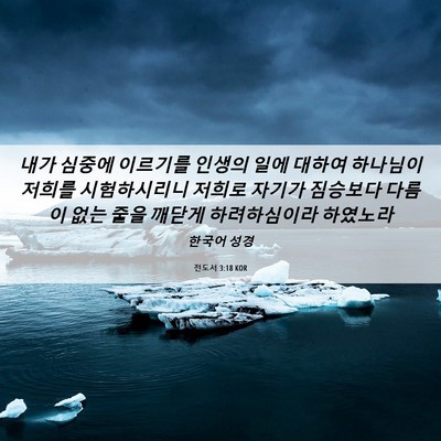 Picture 06 - 전도서 3:18 KOR - 내가 심중에 이르기를 인생의 일에 - Bible Verse Picture