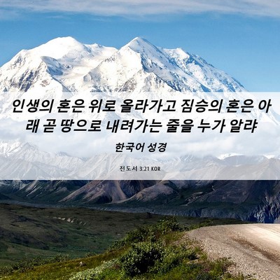 Picture 06 - 전도서 3:21 KOR - 인생의 혼은 위로 올라가고 짐승의 - Bible Verse Picture