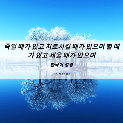 Picture 06 - 전도서 3:3 KOR - 죽일 때가 있고 치료시킬 때가 - Bible Verse Picture
