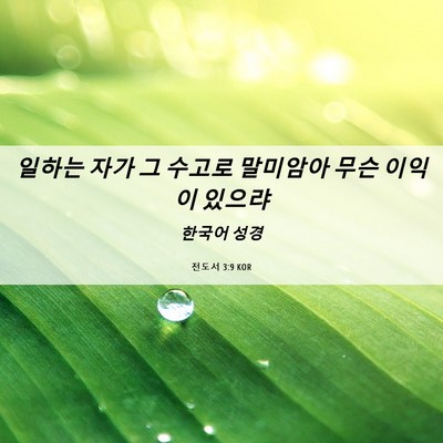 Picture 06 - 전도서 3:9 KOR - 일하는 자가 그 수고로 말미암아 - Bible Verse Picture