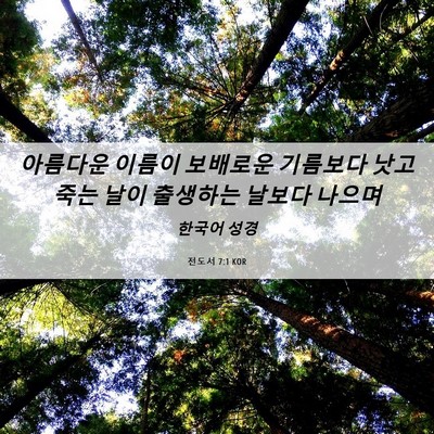 Picture 06 - 전도서 7:1 KOR - 아름다운 이름이 보배로운 기름보다 - Bible Verse Picture