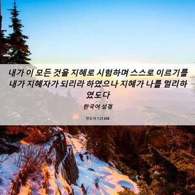 Picture 06 - 전도서 7:23 KOR - 내가 이 모든 것을 지혜로 시험하며 - Bible Verse Picture