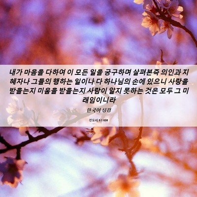 Picture 06 - 전도서 9:1 KOR - 내가 마음을 다하여 이 모든 일을 - Bible Verse Picture