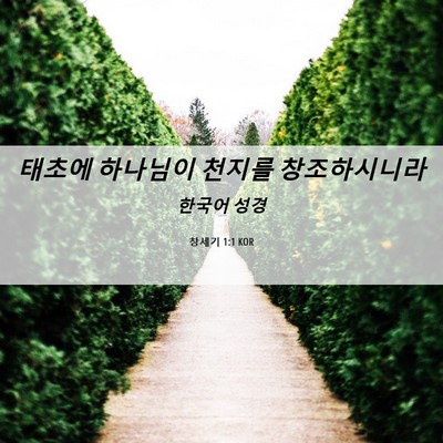 Picture 06 - 창세기 1:1 KOR - 태초에 하나님이 천지를 - Bible Verse Picture