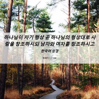 Picture 06 - 창세기 1:27 KOR - 하나님이 자기 형상 곧 하나님의 - Bible Verse Picture