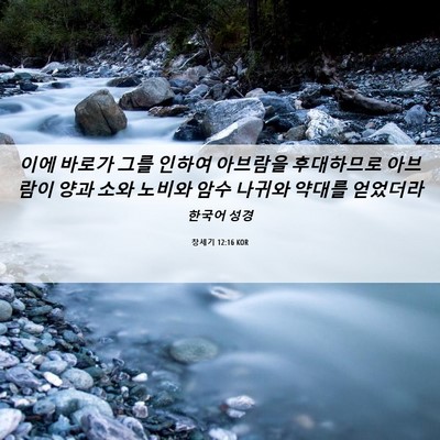 Picture 06 - 창세기 12:16 KOR - 이에 바로가 그를 인하여 아브람을 - Bible Verse Picture