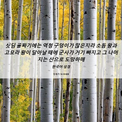 Picture 06 - 창세기 14:10 KOR - 싯딤 골짜기에는 역청 구덩이가 - Bible Verse Picture
