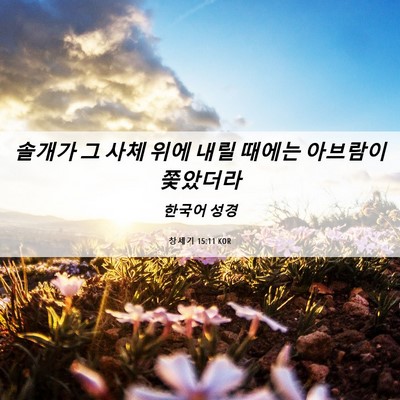 Picture 06 - 창세기 15:11 KOR - 솔개가 그 사체 위에 내릴 때에는 - Bible Verse Picture