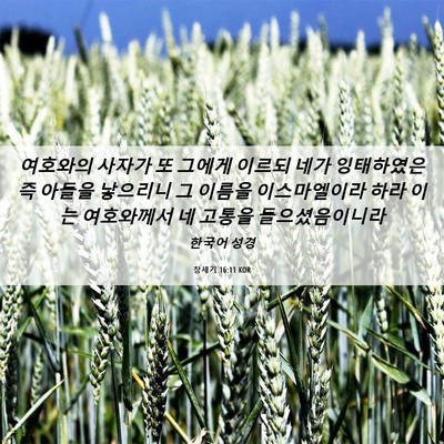 Picture 06 - 창세기 16:11 KOR - 여호와의 사자가 또 그에게 이르되 - Bible Verse Picture