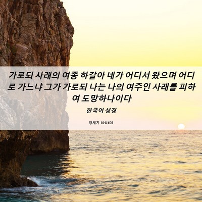 Picture 06 - 창세기 16:8 KOR - 가로되 사래의 여종 하갈아 네가 - Bible Verse Picture