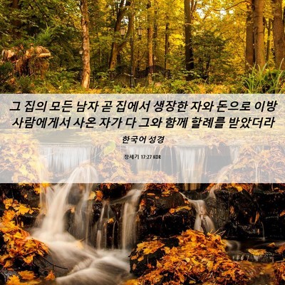 Picture 06 - 창세기 17:27 KOR - 그 집의 모든 남자 곧 집에서 생장한 - Bible Verse Picture