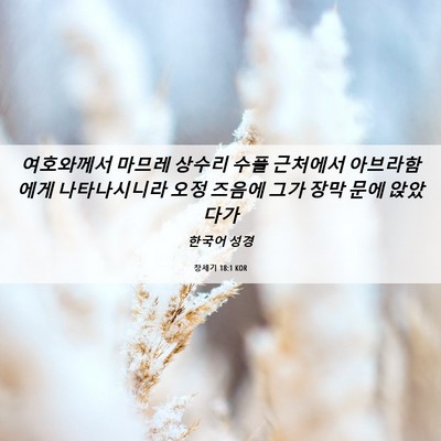 Picture 06 - 창세기 18:1 KOR - 여호와께서 마므레 상수리 수풀 - Bible Verse Picture