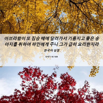 Picture 06 - 창세기 18:7 KOR - 아브라함이 또 짐승 떼에 달려가서 - Bible Verse Picture