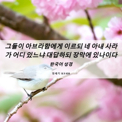 Picture 06 - 창세기 18:9 KOR - 그들이 아브라함에게 이르되 네 아내 - Bible Verse Picture