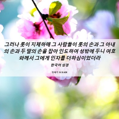 Picture 06 - 창세기 19:16 KOR - 그러나 롯이 지체하매 그 사람들이 - Bible Verse Picture