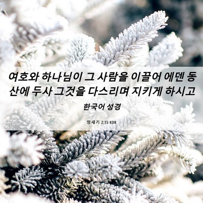 Picture 06 - 창세기 2:15 KOR - 여호와 하나님이 그 사람을 이끌어 - Bible Verse Picture
