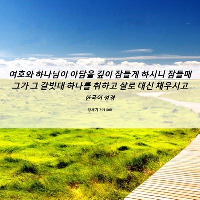 Picture 06 - 창세기 2:21 KOR - 여호와 하나님이 아담을 깊이 잠들게 - Bible Verse Picture