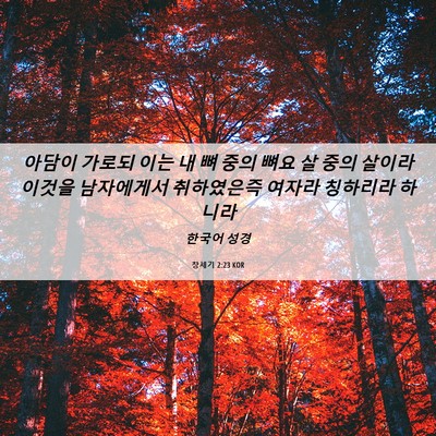 Picture 06 - 창세기 2:23 KOR - 아담이 가로되 이는 내 뼈 중의 뼈요 - Bible Verse Picture