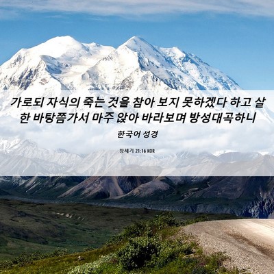 Picture 06 - 창세기 21:16 KOR - 가로되 자식의 죽는 것을 참아 보지 - Bible Verse Picture