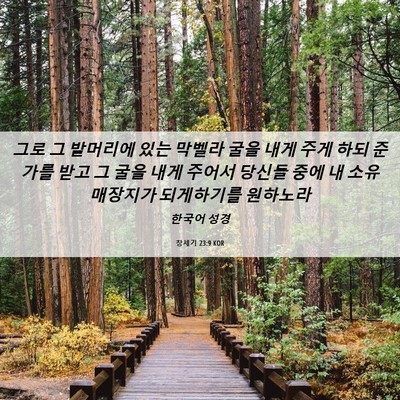 Picture 06 - 창세기 23:9 KOR - 그로 그 밭머리에 있는 막벨라 굴을 - Bible Verse Picture