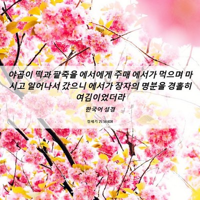 Picture 06 - 창세기 25:34 KOR - 야곱이 떡과 팥죽을 에서에게 주매 - Bible Verse Picture