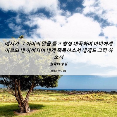 Picture 06 - 창세기 27:34 KOR - 에서가 그 아비의 말을 듣고 방성 - Bible Verse Picture