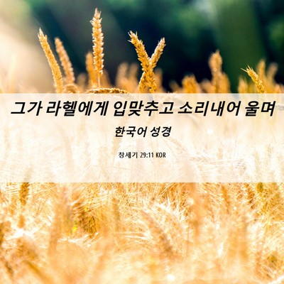 Picture 06 - 창세기 29:11 KOR - 그가 라헬에게 입맞추고 소리내어 - Bible Verse Picture