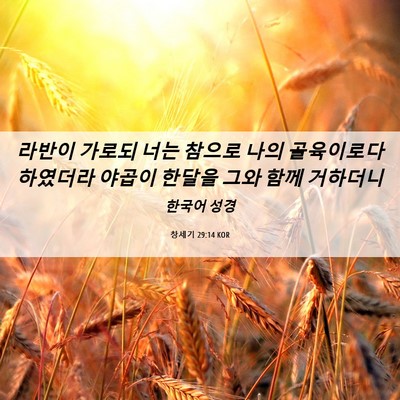 Picture 06 - 창세기 29:14 KOR - 라반이 가로되 너는 참으로 나의 - Bible Verse Picture