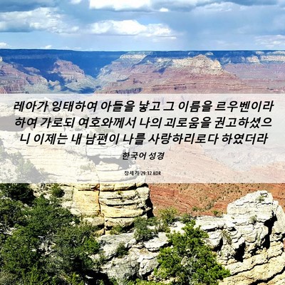Picture 06 - 창세기 29:32 KOR - 레아가 잉태하여 아들을 낳고 그 - Bible Verse Picture