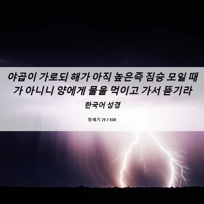 Picture 06 - 창세기 29:7 KOR - 야곱이 가로되 해가 아직 높은즉 - Bible Verse Picture