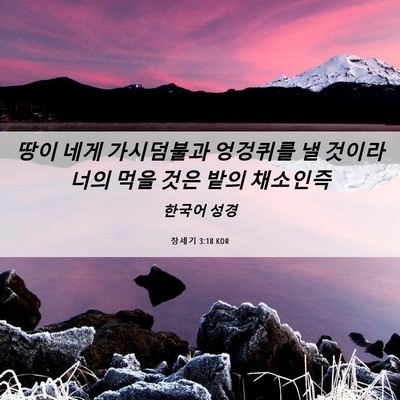 Picture 06 - 창세기 3:18 KOR - 땅이 네게 가시덤불과 엉겅퀴를 낼 - Bible Verse Picture