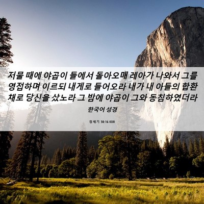 Picture 06 - 창세기 30:16 KOR - 저물 때에 야곱이 들에서 돌아오매 - Bible Verse Picture