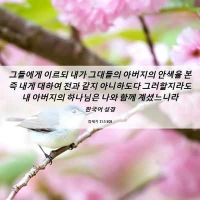 Picture 06 - 창세기 31:5 KOR - 그들에게 이르되 내가 그대들의 - Bible Verse Picture