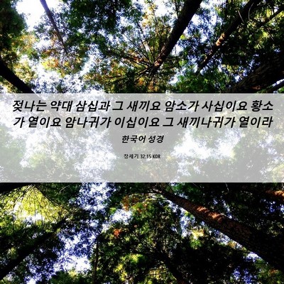 Picture 06 - 창세기 32:15 KOR - 젖나는 약대 삼십과 그 새끼요 - Bible Verse Picture