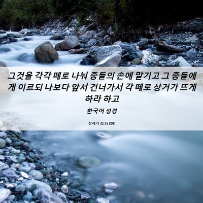 Picture 06 - 창세기 32:16 KOR - 그것을 각각 떼로 나눠 종들의 손에 - Bible Verse Picture