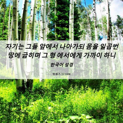 Picture 06 - 창세기 33:3 KOR - 자기는 그들 앞에서 나아가되 몸을 - Bible Verse Picture