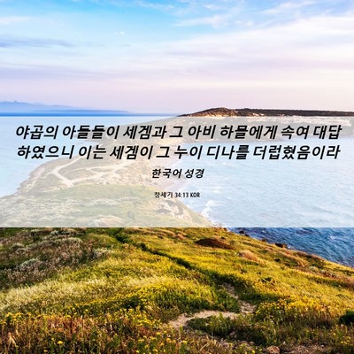 Picture 06 - 창세기 34:13 KOR - 야곱의 아들들이 세겜과 그 아비 - Bible Verse Picture