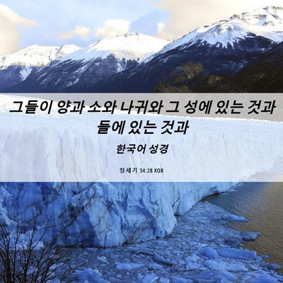 Picture 06 - 창세기 34:28 KOR - 그들이 양과 소와 나귀와 그 성에 - Bible Verse Picture