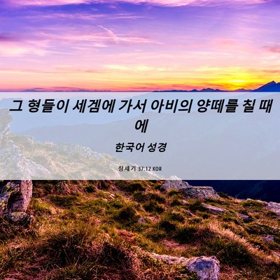 Picture 06 - 창세기 37:12 KOR - 그 형들이 세겜에 가서 아비의 - Bible Verse Picture