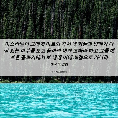 Picture 06 - 창세기 37:14 KOR - 이스라엘이 그에게 이르되 가서 네 - Bible Verse Picture