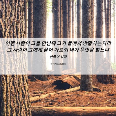 Picture 06 - 창세기 37:15 KOR - 어떤 사람이 그를 만난즉 그가 - Bible Verse Picture