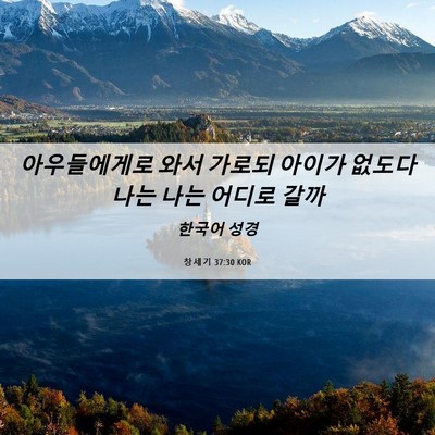 Picture 06 - 창세기 37:30 KOR - 아우들에게로 와서 가로되 아이가 - Bible Verse Picture
