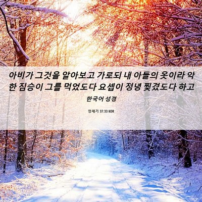 Picture 06 - 창세기 37:33 KOR - 아비가 그것을 알아보고 가로되 내 - Bible Verse Picture