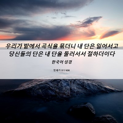 Picture 06 - 창세기 37:7 KOR - 우리가 밭에서 곡식을 묶더니 내 - Bible Verse Picture