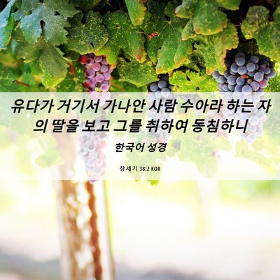 Picture 06 - 창세기 38:2 KOR - 유다가 거기서 가나안 사람 수아라 - Bible Verse Picture